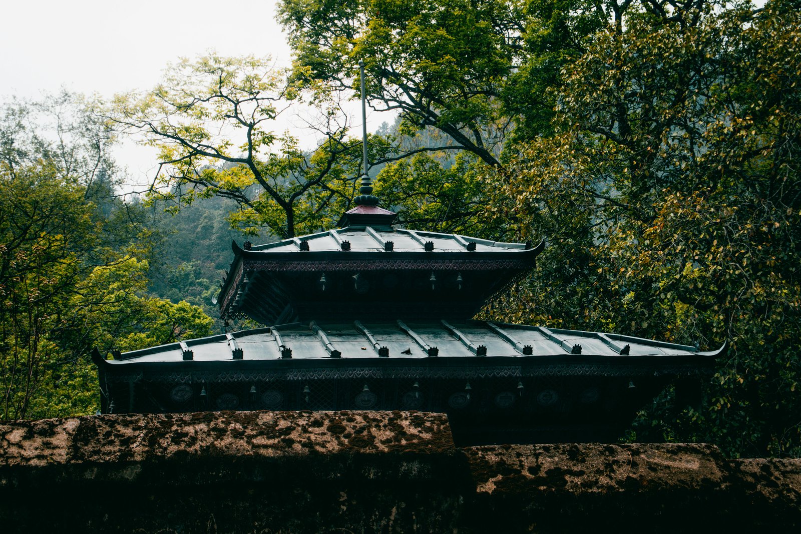 Roof 7